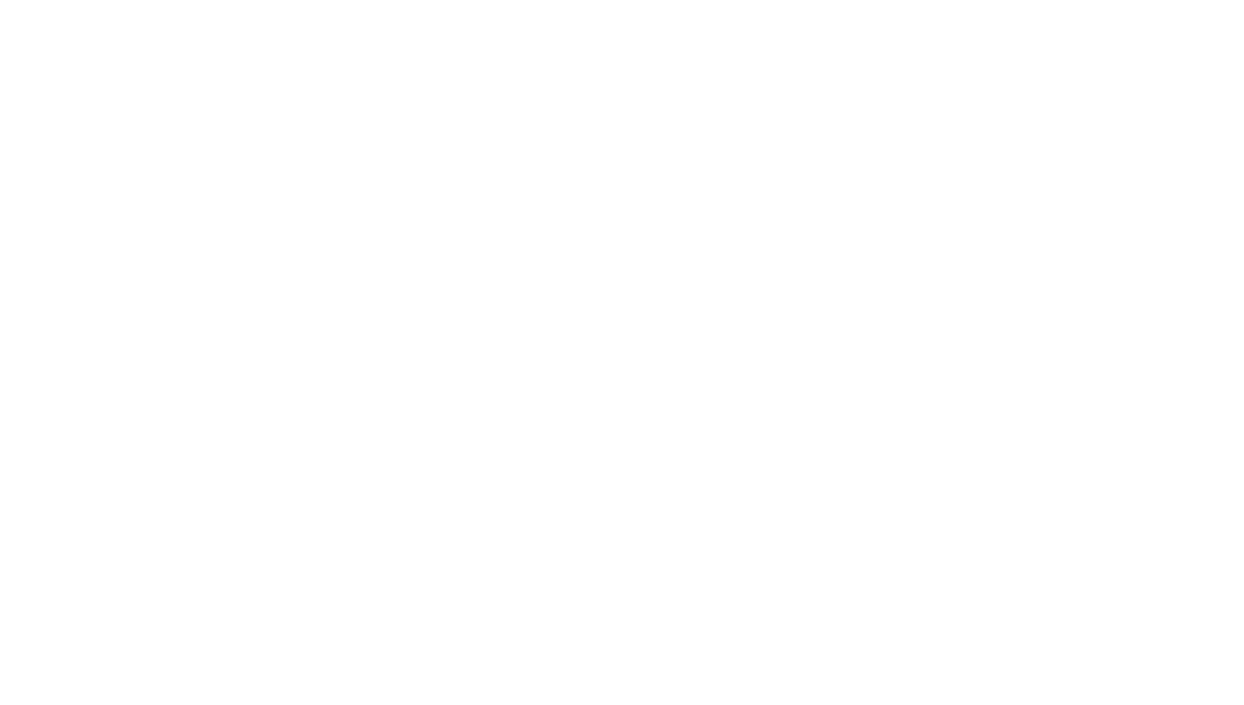 LEAPMOTOR