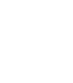 Logo LEAPMOTOR